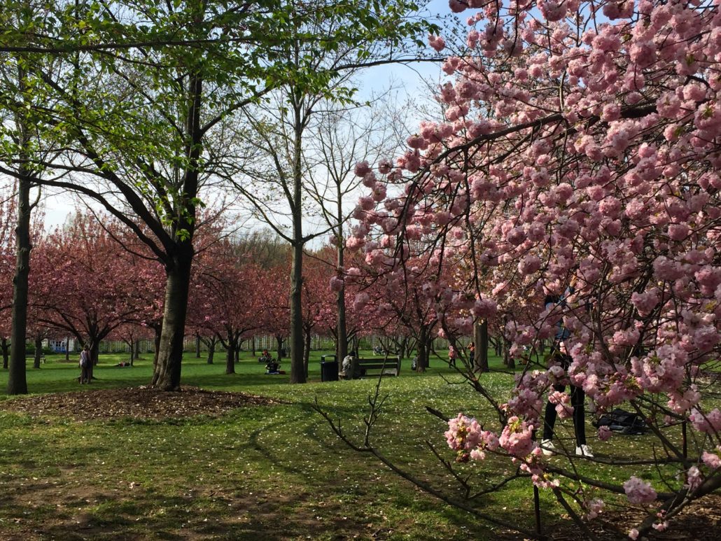 Spring Trees BBG