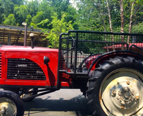 Tractor, Children's Zoo, NYC