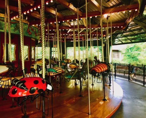 Bronx Zoo, NYC, Bug Carousel