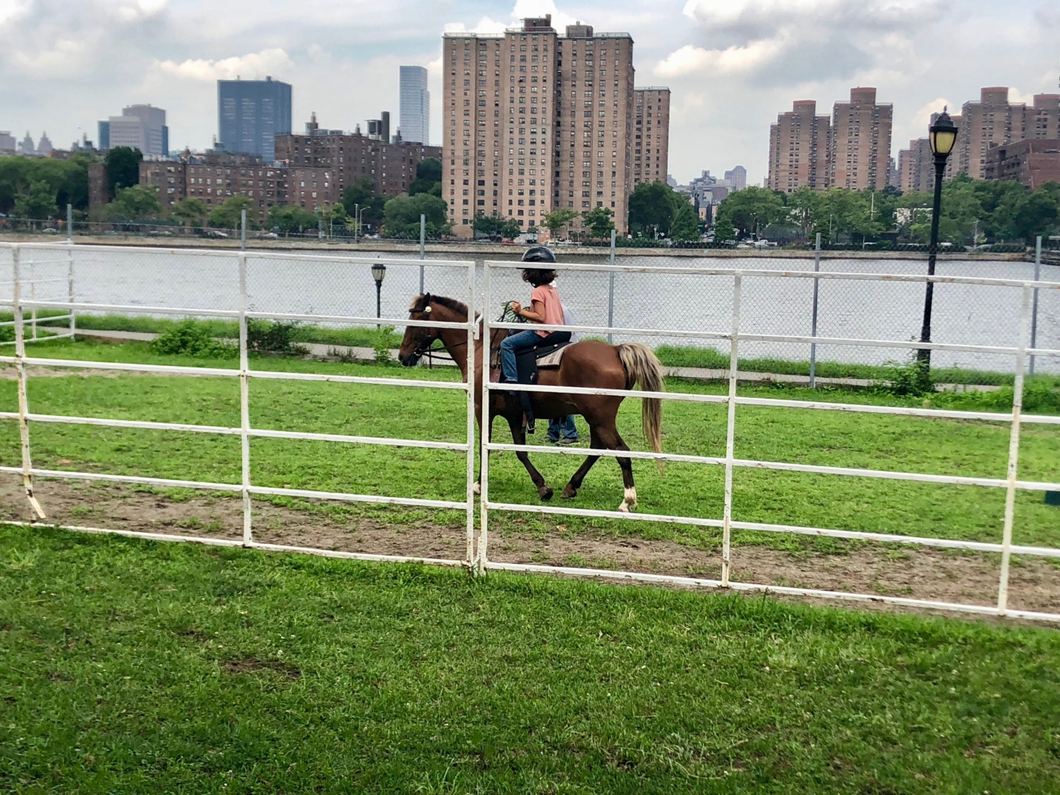 NYC Horse Riding